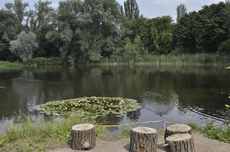 водоем в природном саду