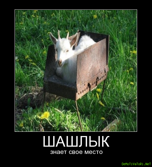 0e6ee425b55b9da07f1bf7d9b41acc8d