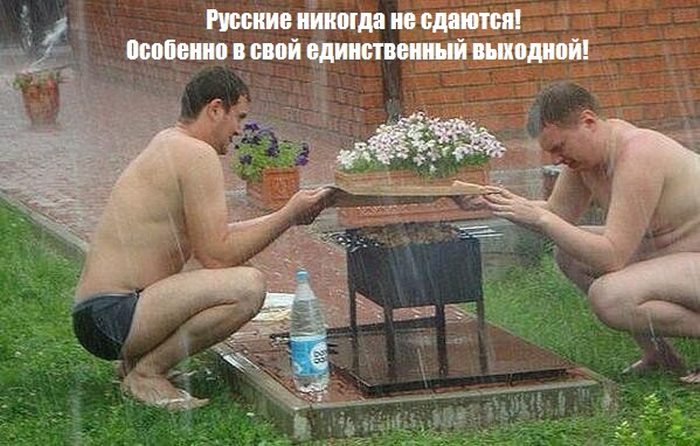1397119288_podb_01