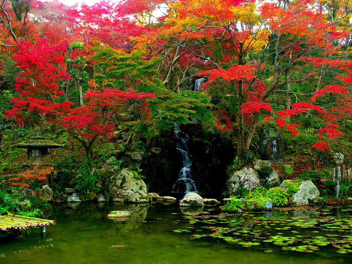 Микромиры: японские сады камней, фото № 5