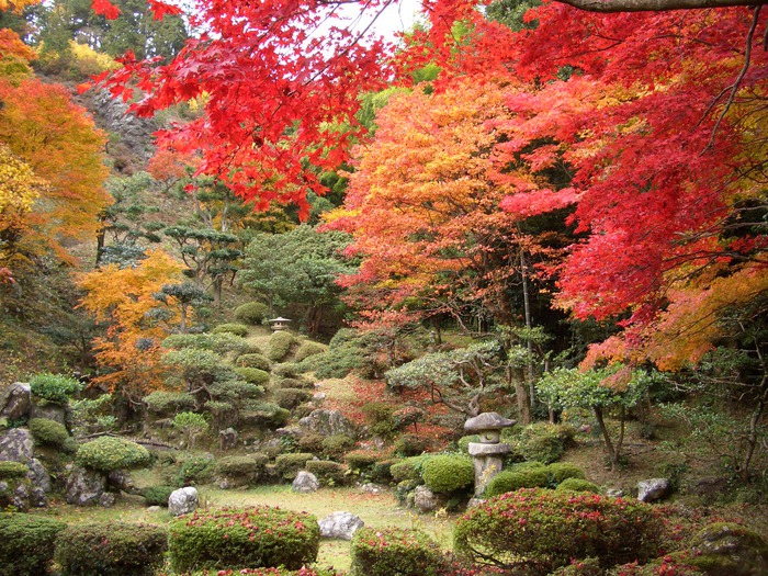 Микромиры: японские сады камней, фото № 8