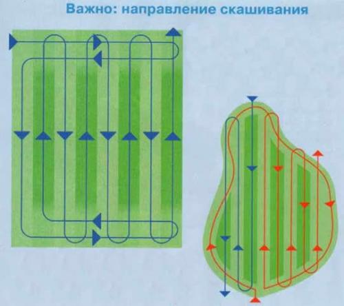 Когда косят газон последний раз перед зимой. Как подготовить газон к зиме? 02