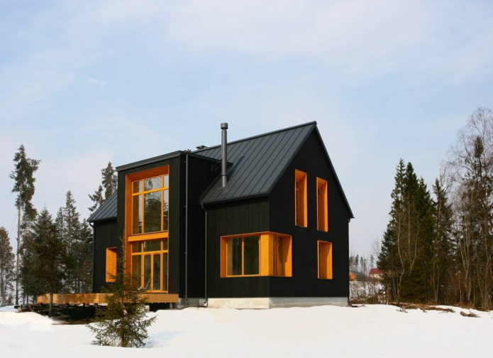 дом черного цвета в скандинавской стилистике