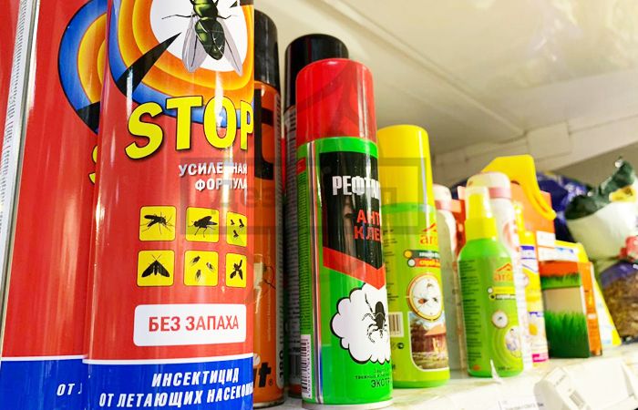 Рыжие муравьи в квартире как избавиться- средства