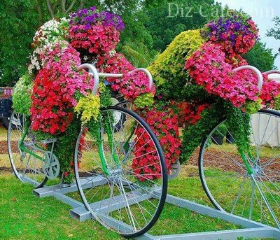 Эффектная цветочная композиция на велосипедах