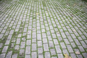 Как убрать мох с тротуарной плитки