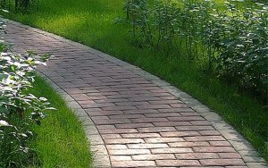 Как избавиться от мха на тротуарной дорожке