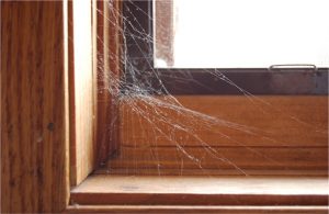 Как избавиться от паутины в доме 