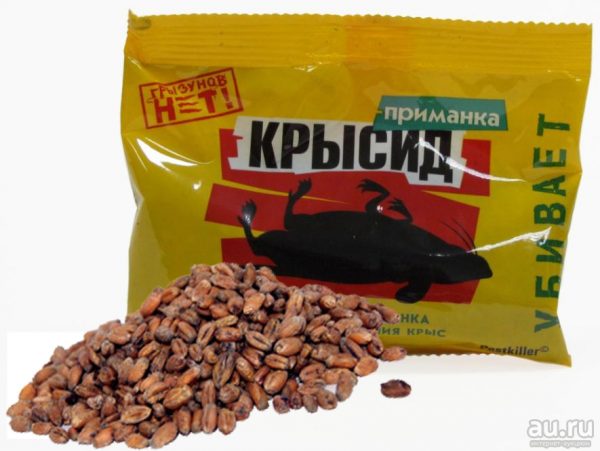 Крысид