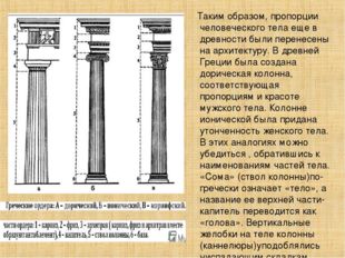 Таким образом, пропорции человеческого тела еще в древности были перенесены