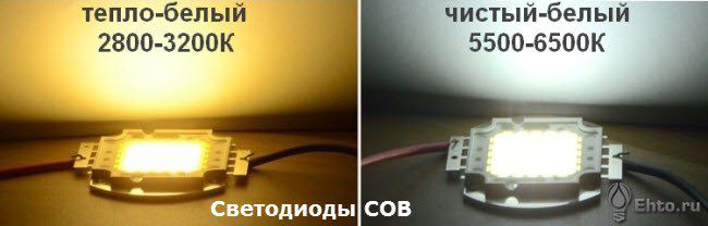 фото светодиоды COB