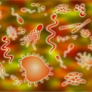 бактерии и микроорганизмы