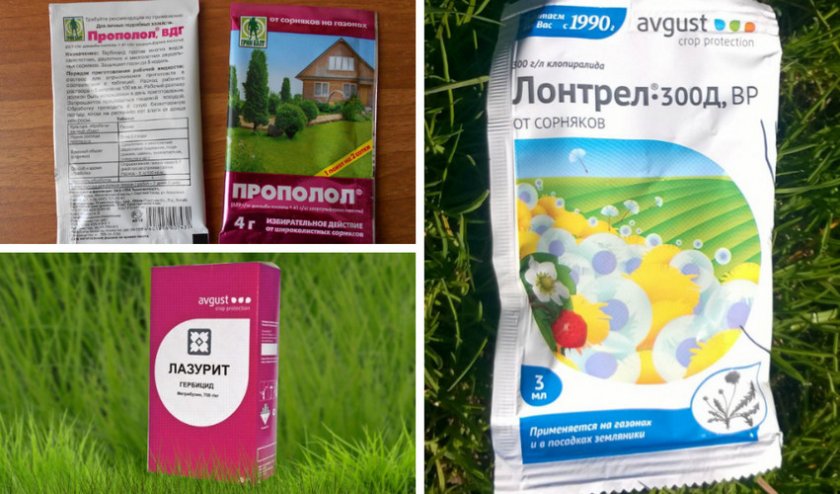 Препараты против сорняков Препараты против сорняков