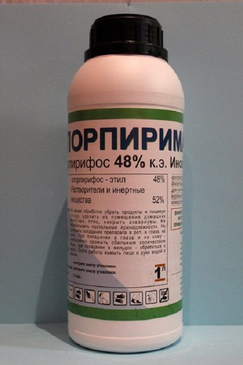 Хлорпиримак: средство от блох №1 Хлорпиримак: средство от блох №1