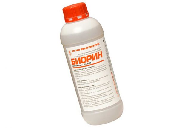Биорин: эффективное средство для уничтожения блох Биорин: эффективное средство для уничтожения блох
