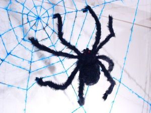 Самодельный паук