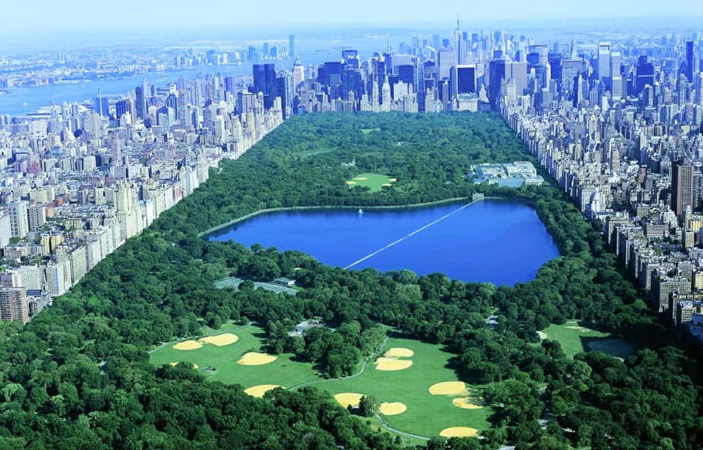 Центральный парк Манхэттана, Нью-Йорк