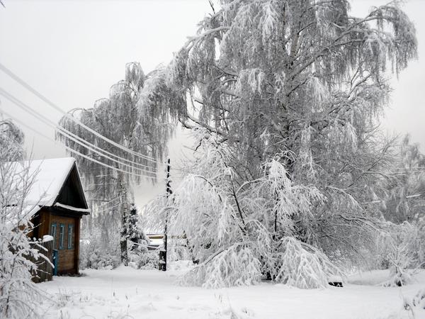 Заснеженная деревня