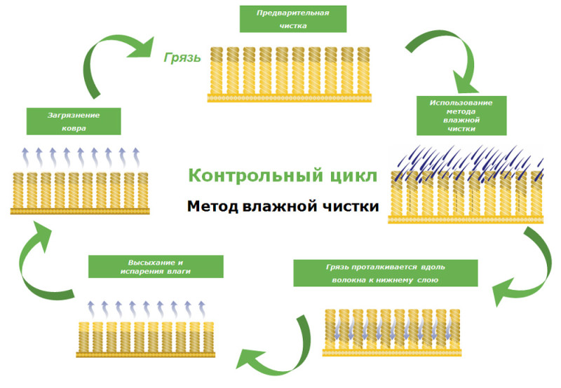 Влажная чистка ковра Влажная чистка ковра