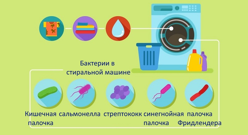 Бактерии в стиральной машине