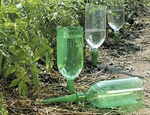 Дозированный полив с помощью пластиковой бутылки