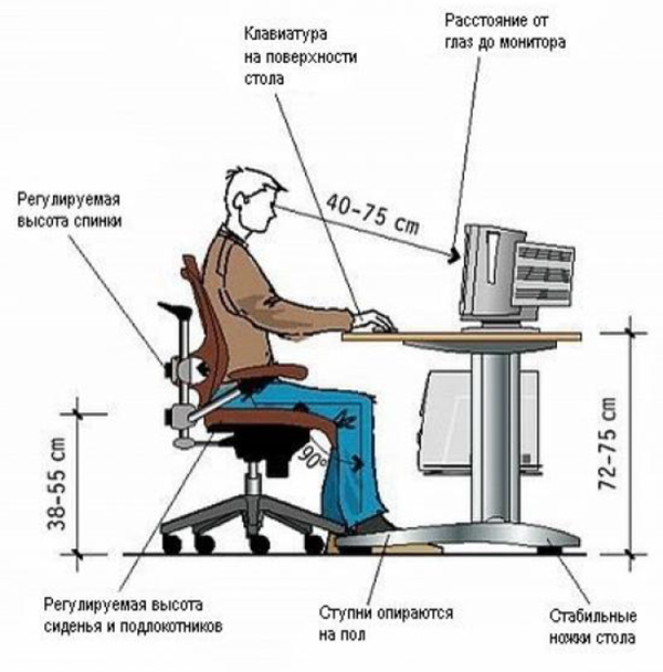 Стандартные нормативы высоты стула, выбор оптимальных параметров