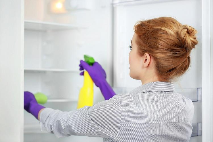 Чем помыть холодильник внутри после разморозки: способы