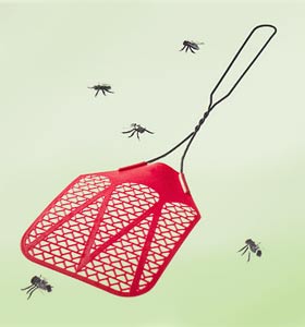 Как избавиться от мух