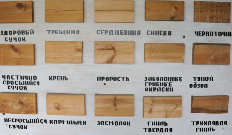 дефекты дерева