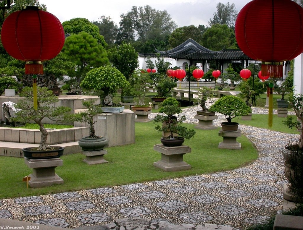 Растения в китайском саду