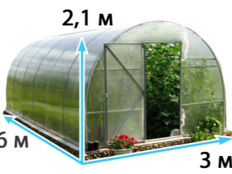 Размеры теплиц из поликарбоната: критерии выбора