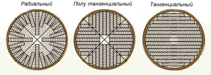 Виды паркета в интерьере