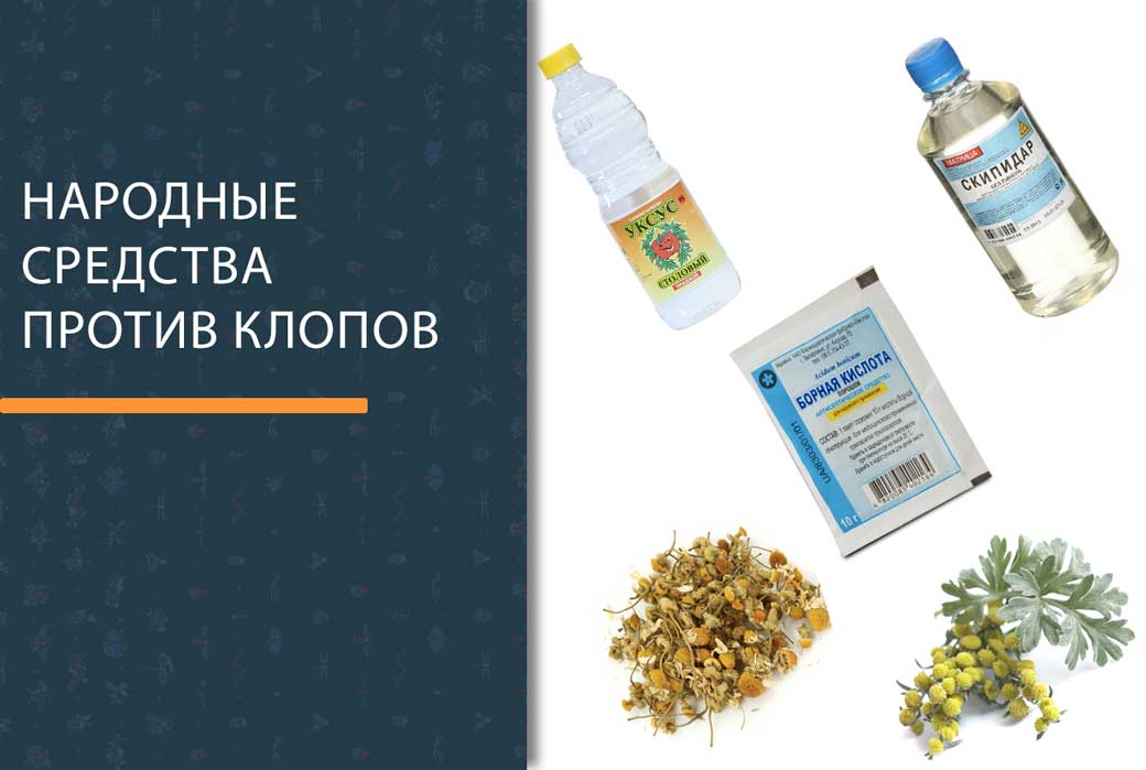 Народные средства от клопов в квартире