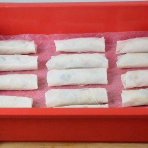 frozen fpring rolls