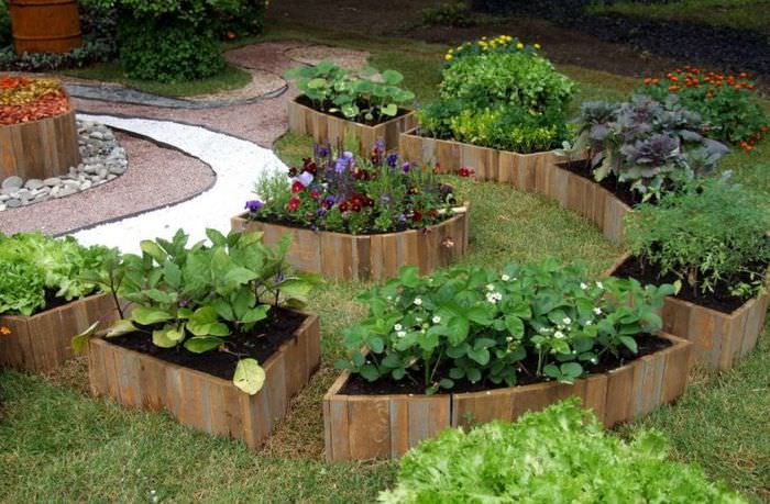 Аккуратные овощные грядки из досок в ландшафтном дизайне маленького сада