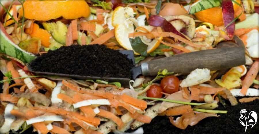 Rats and mice can nest in compost heaps.