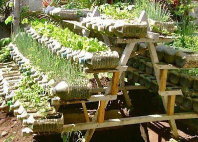 теплица из пластиковых бутылок