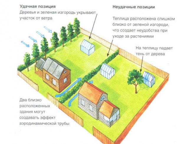 планировка дачного участка